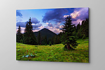 Obraz Prekrásna príroda zs1346